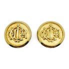 Dior Logo Earrings